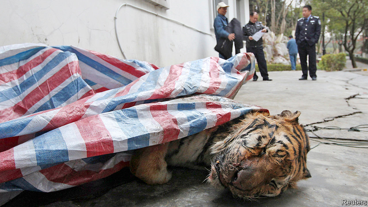 China waters down its ban on the use of tiger and rhino parts