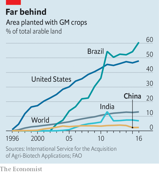 China’s public worries pointlessly about GM food