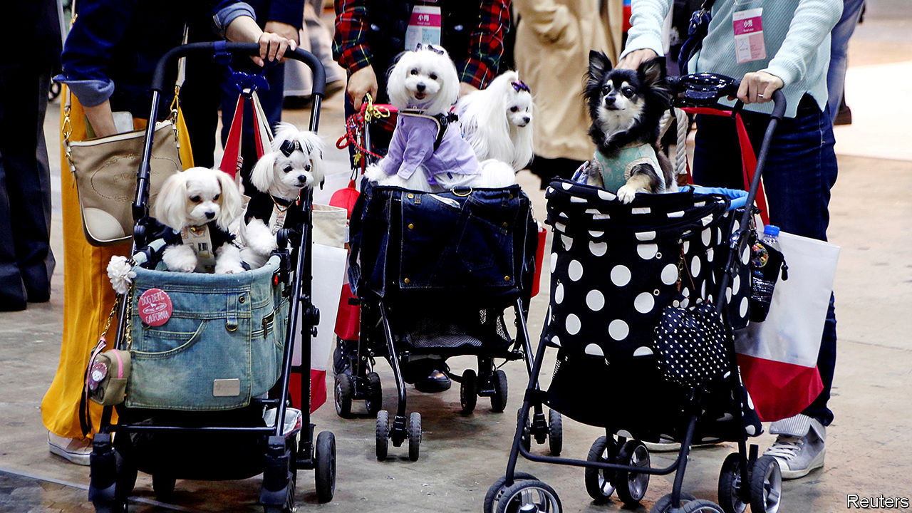 Japan pampers its pets like nowhere else